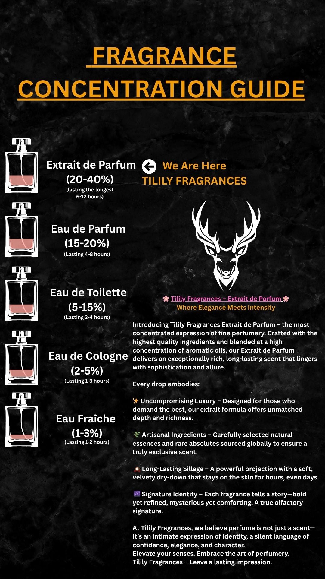 TILILY Astro Series – Mystique Noir Perfume For Scorpio ( 50 ML)